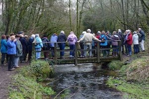 Guided walks and other events
